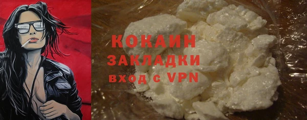 СК Дмитров
