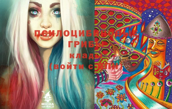 СК Дмитров