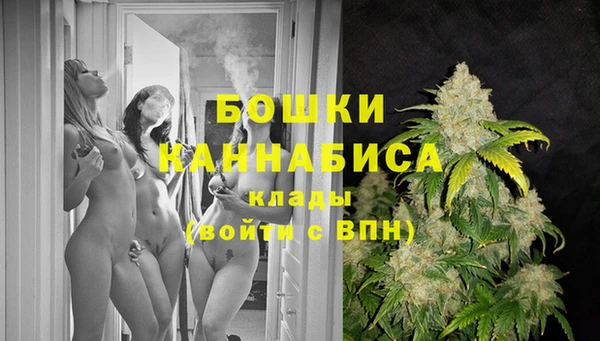 ешки Дмитриев