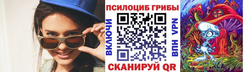 Купить  Наволоки  Псилоцибиновые грибы MAGIC MUSHROOMS 